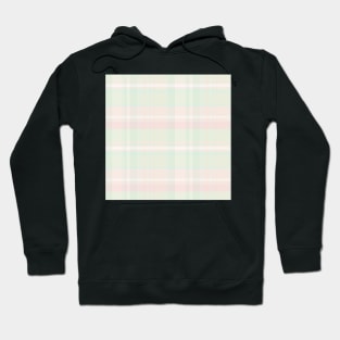 Pastel Aesthetic Iona 1 Hand Drawn Textured Plaid Pattern Hoodie